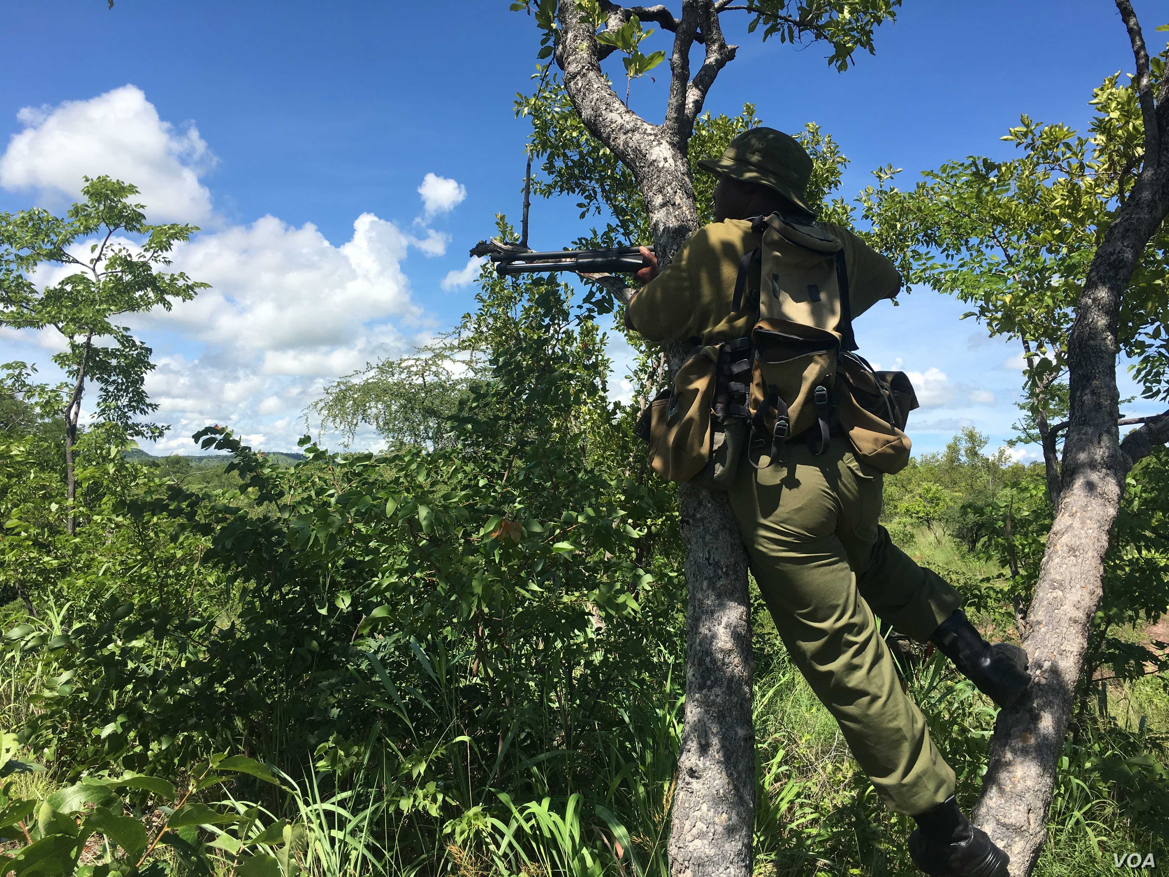 C6B688B1-9B14-42E9-BD1B-D2E09B251B27